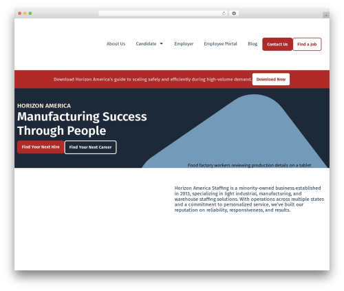 Vfbp display entries WordPress plugin - horizonamericastaffing.com