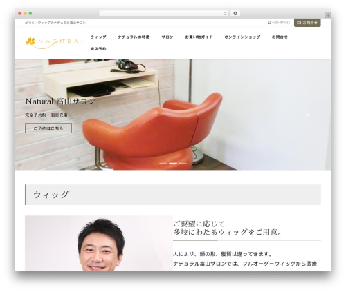 Lightning skin charm WordPress plugin - natural-toyama.com