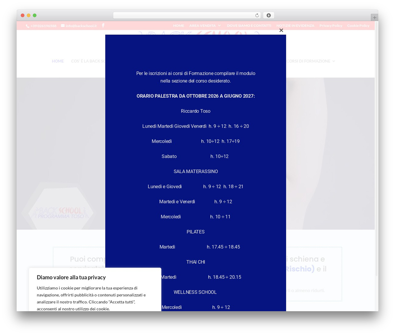 WordPress theme Divi - backschool.it WordPress theme Divi - backschool.it