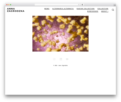 Waspthemes yellow pencil WordPress plugin - annazagrodzka.com