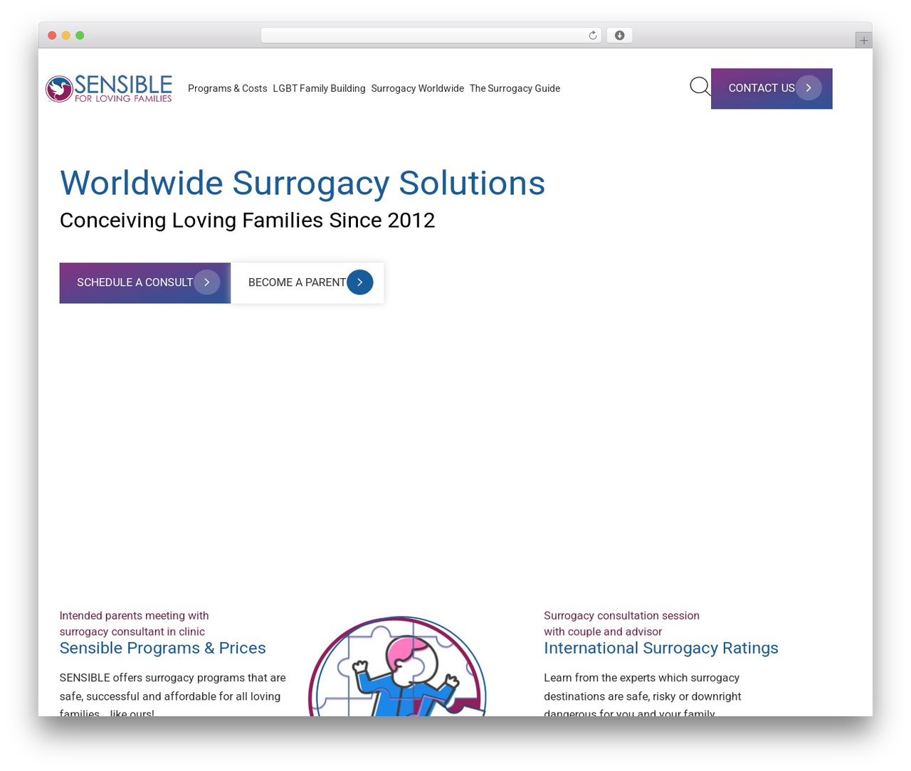 WordPress theme Hello Elementor - sensiblesurrogacy.com
