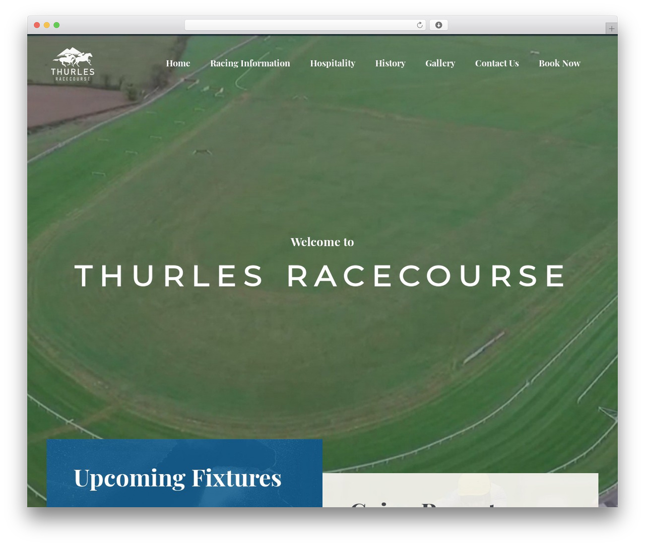 WordPress theme Lightseek - thurlesraces.ie