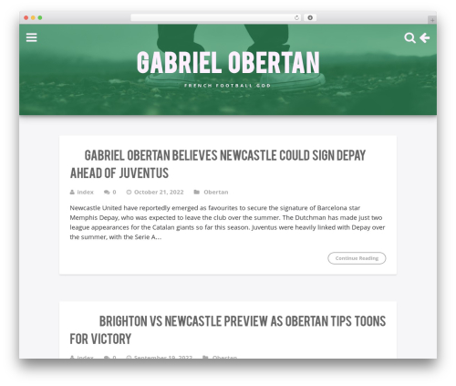 WordPress theme PixelHunter - gabrielobertan.net