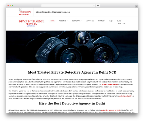WordPress theme Terminus - impactintelligenceservices.com