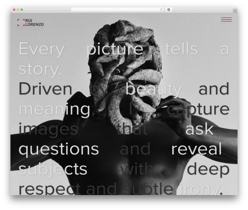 Zilla shortcodes WordPress plugin - lorenzorui.com