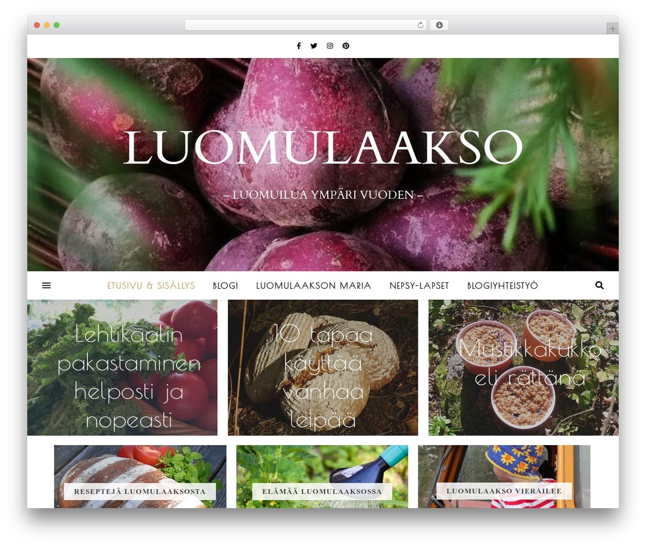 WordPress theme Ashe Pro - luomulaakso.fi WordPress theme Ashe Pro - luomulaakso.fi