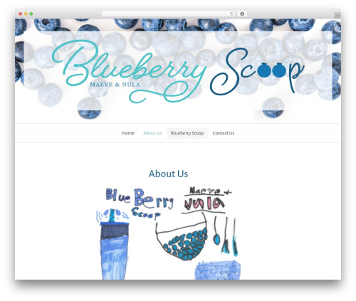 WordPress theme Culinary - blueberryscoop.com