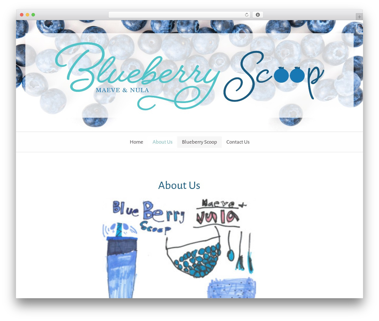 WordPress theme Culinary - blueberryscoop.com