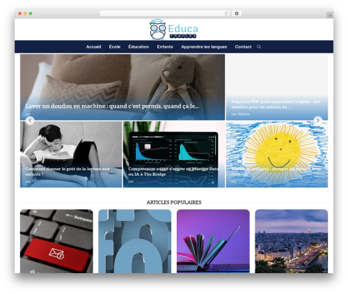 Toolinks posts WordPress plugin - educafrances.com