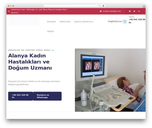 Modins themer WordPress plugin - vuraldagli.com