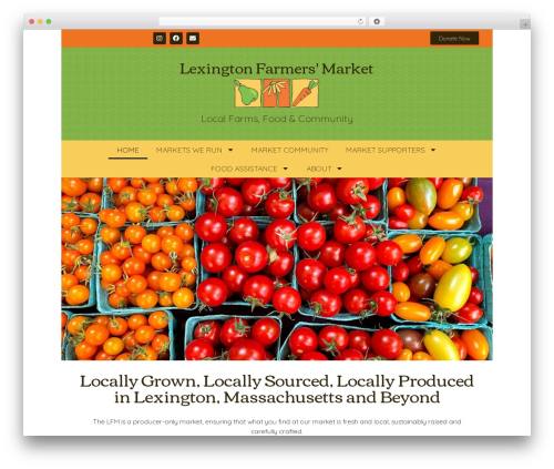 Feeds for tiktok WordPress plugin - lexingtonfarmersmarket.org