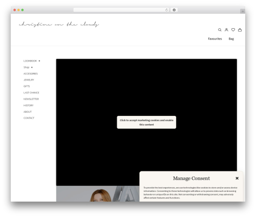 Storefront top WordPress theme - christineontheclouds.com
