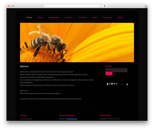 Tiny Forge best WordPress theme - tattoobauke.nl