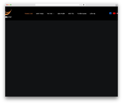 Codevz plus WordPress plugin - altamedia.vn
