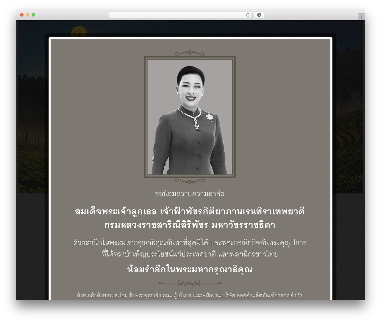 WordPress theme Agrofields - doikham.co.th WordPress theme Agrofields - doikham.co.th