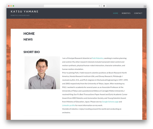 Counterize (counterize) free WordPress plugin - katsuyamane.com Counterize (counterize) free WordPress plugin - katsuyamane.com