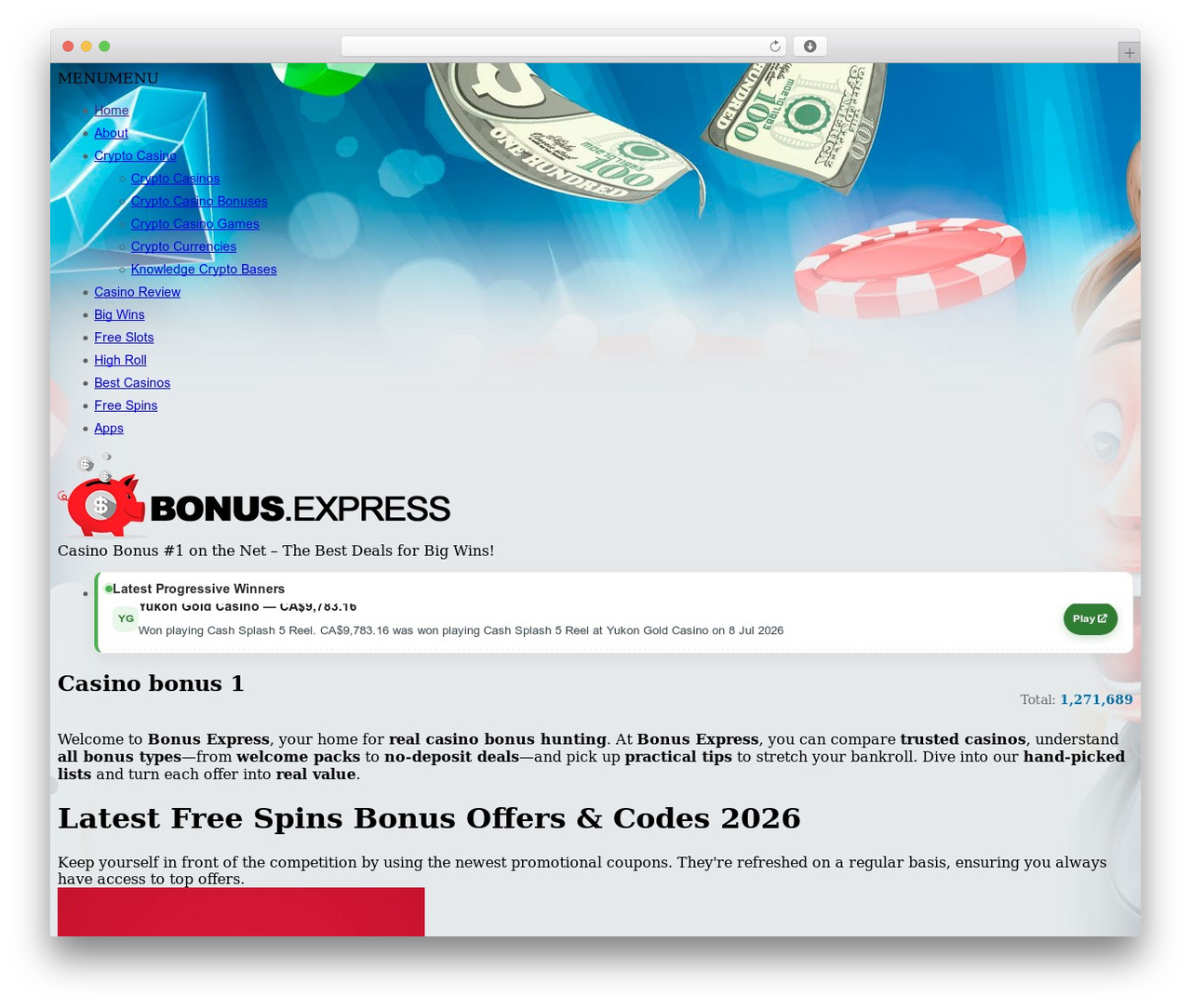 Clipper WP theme - bonus.express