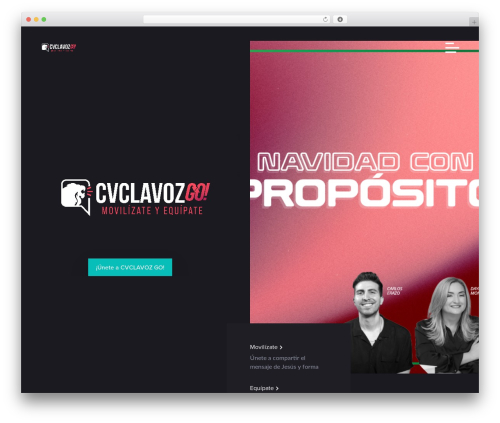 Shock core WordPress plugin - cvclavozgo.com