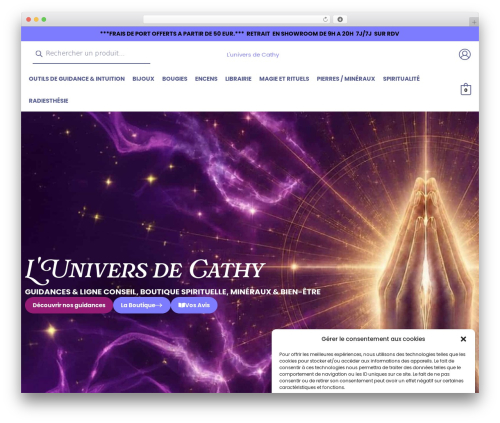 Woocommerce product feeds WordPress plugin - cathymediumspirit.com