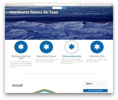 WordPress theme SnowFall - interboursegeneva.ch