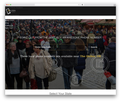 WordPress theme Electrifying - goldenphonenumbers.com