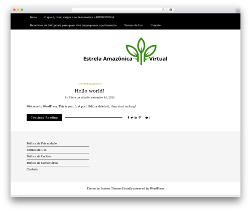 Writee WordPress theme - estrelaamazonicavirtual.com