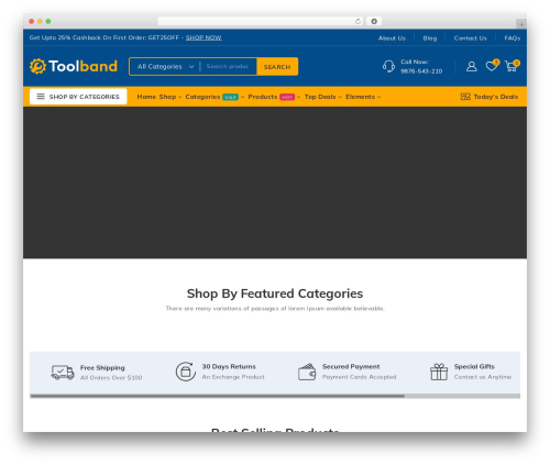 Templatemela plugin toolband WordPress plugin - demos.codezeel.com/wordpress/WCM07/WCM070167/default