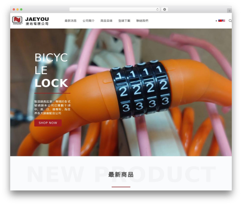 Custom admin interface pro WordPress plugin - jaeyou.com