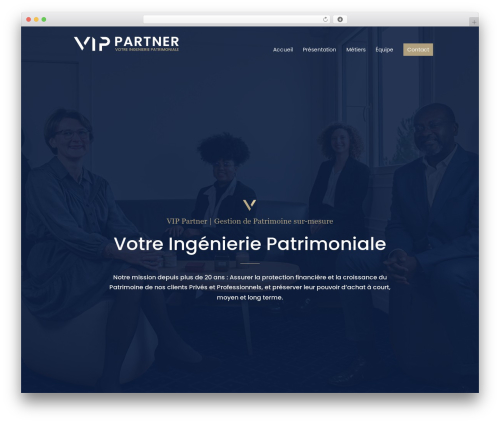 Divi dynamic helper WordPress plugin - vippartner.fr