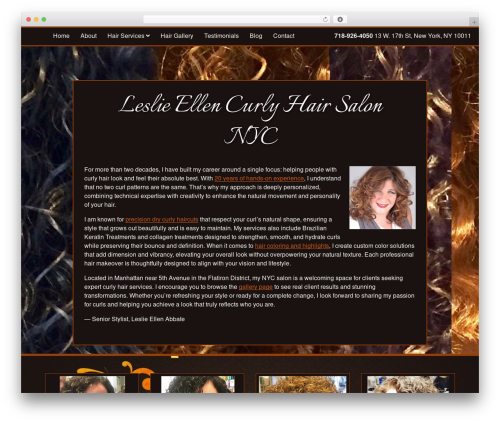 MSH Responsive (SASS) Theme WordPress theme - leslielovescurls.com
