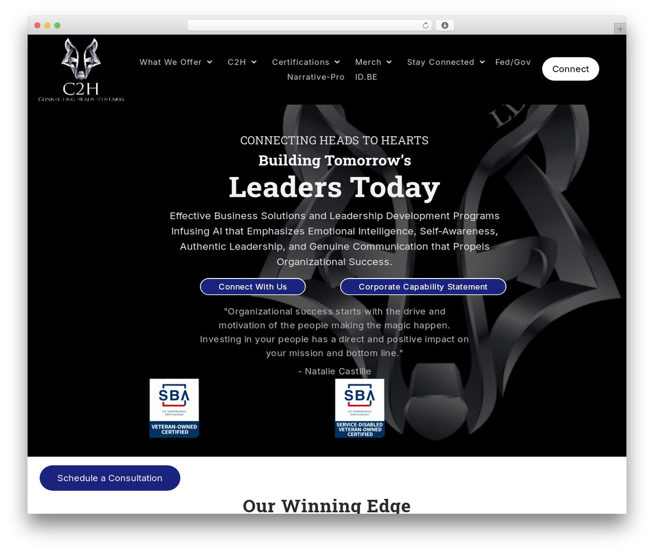 WordPress theme Beaver Builder Theme - c2htransform.com