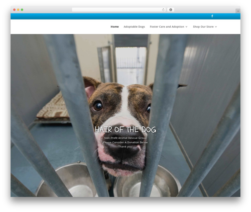 List Petfinder Pets (petfinder-listings) free WordPress plugin - hairofthedogrescue.org