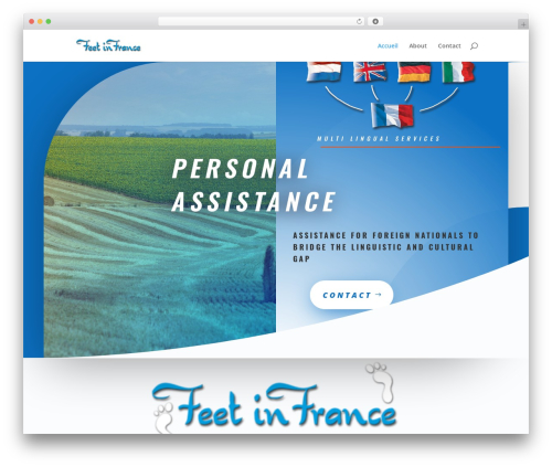 WordPress theme Divi - feetinfrance.fr