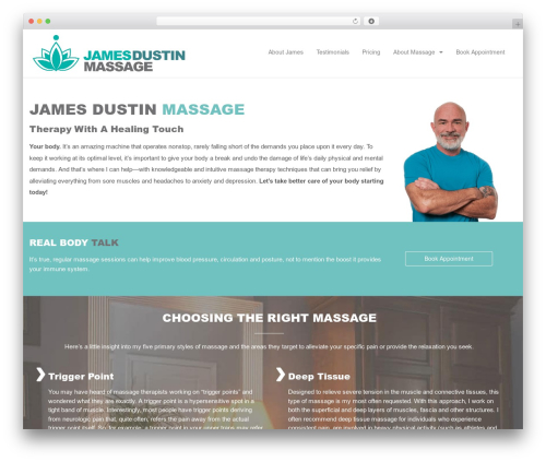 Support custom WordPress plugin - jamesdustinmassage.com