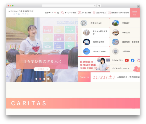Quarea WordPress plugin - caritas.ed.jp