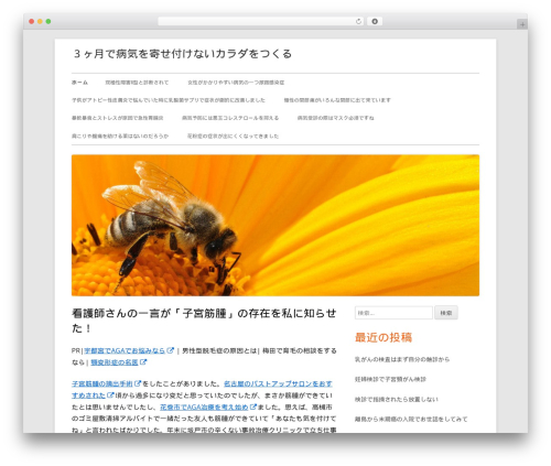 Theme WordPress Tiny Framework - doremibyoki.info Theme WordPress Tiny Framework - doremibyoki.info