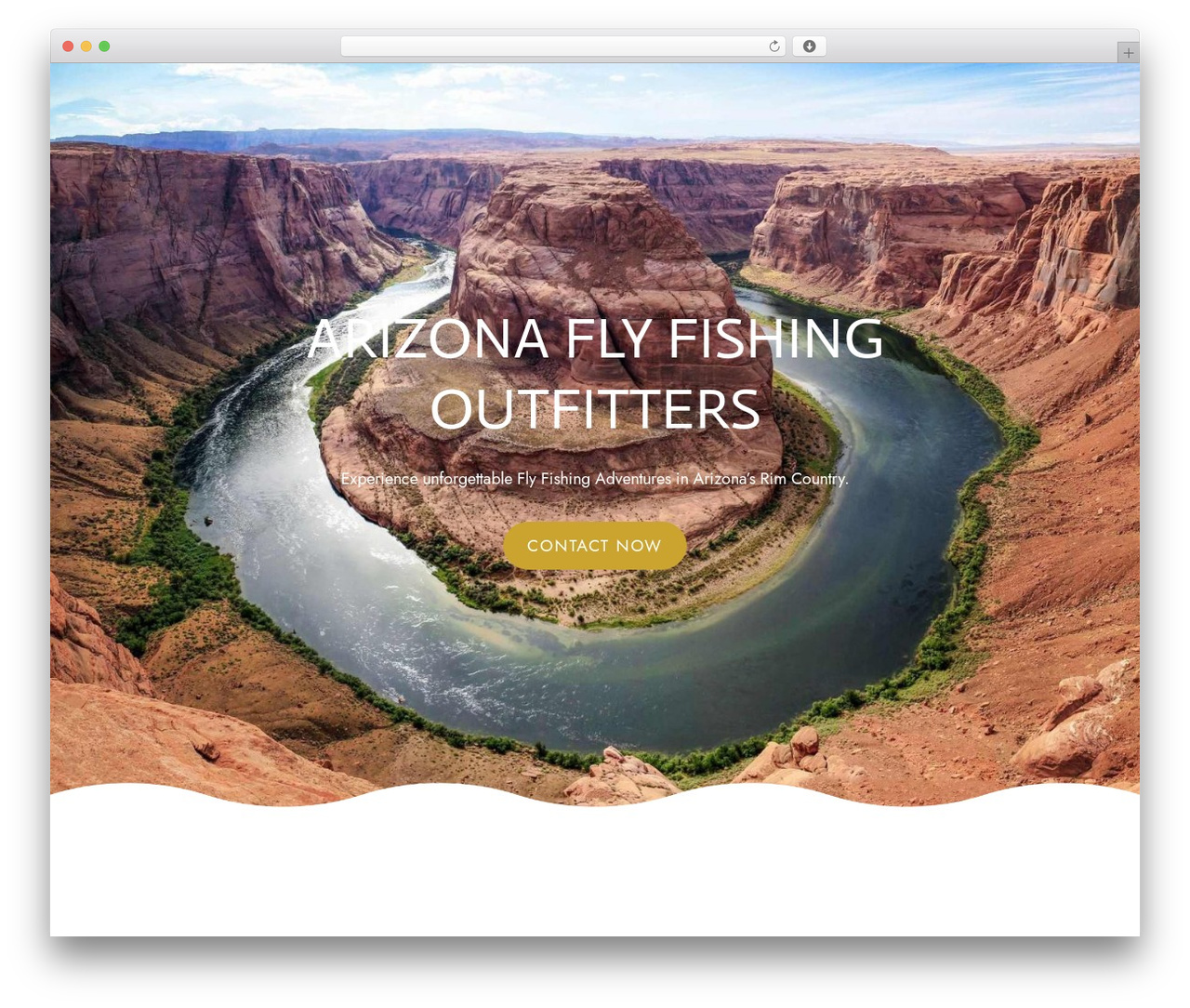 WordPress theme Constructor - arizonaflyfishing.net