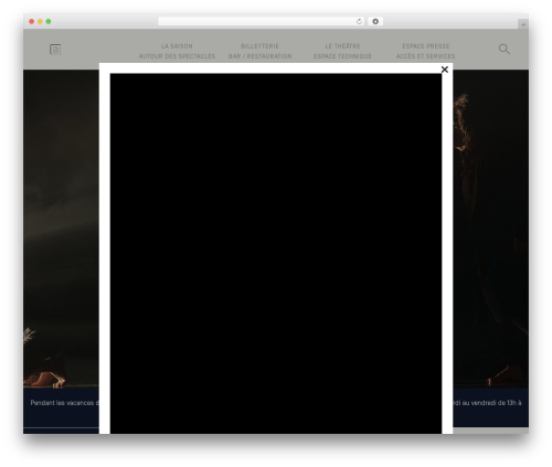 WordPress theme sun - les-salins.net