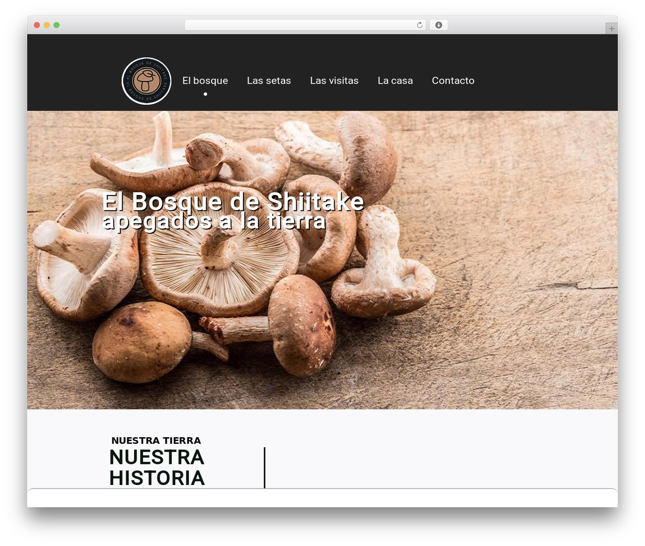 Briny WordPress theme - elbosquedeshiitake.com Briny WordPress theme - elbosquedeshiitake.com