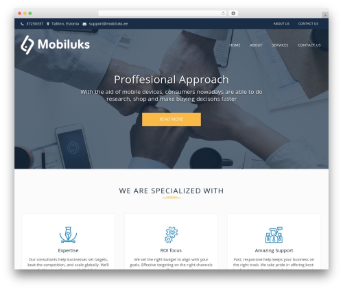 Business Plan WordPress theme design - mobiluks.ee