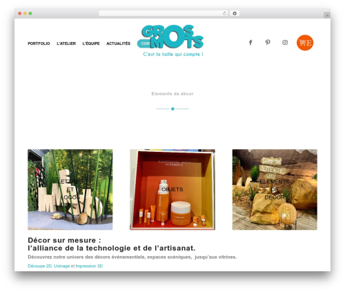 Wp hummingbird WordPress plugin - gros-mots.com