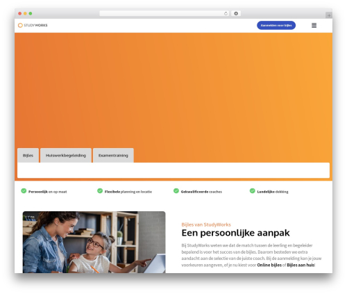 Tagging WordPress plugin - studyworks.nl
