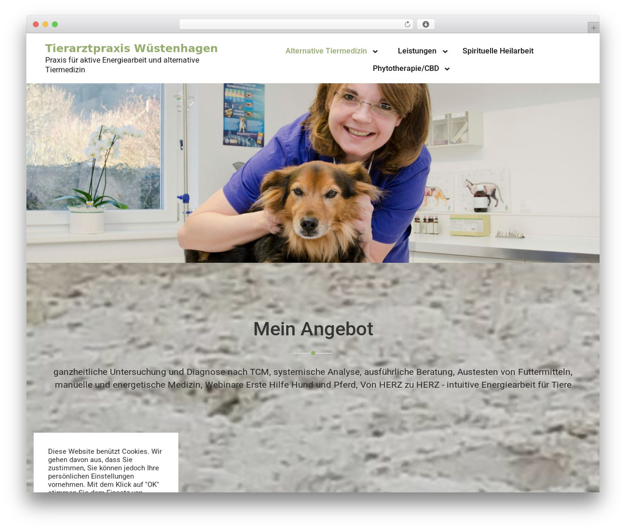 MediHealth best WordPress theme - alternative-tiermedizin.at MediHealth best WordPress theme - alternative-tiermedizin.at