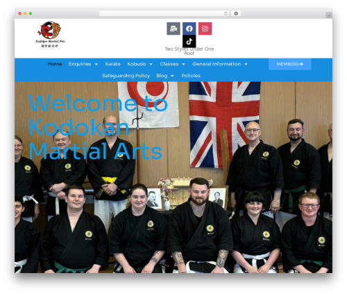 Wp hummingbird WordPress plugin - kodokan.org.uk