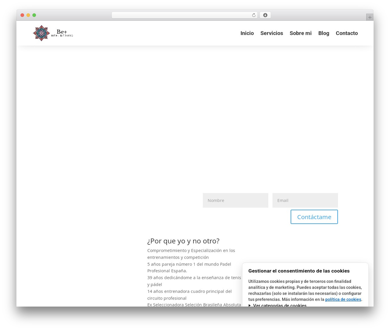 WordPress theme Divi - nekiberwig.com