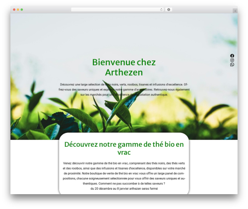 Constructor WordPress page theme - arthezen.com