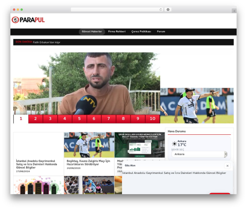 dtheme theme WordPress - parapul.net