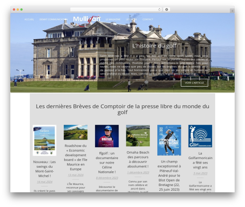 Advanced Advertising System (advanced-advertising-system) free WordPress plugin - mulligan-magazine.fr