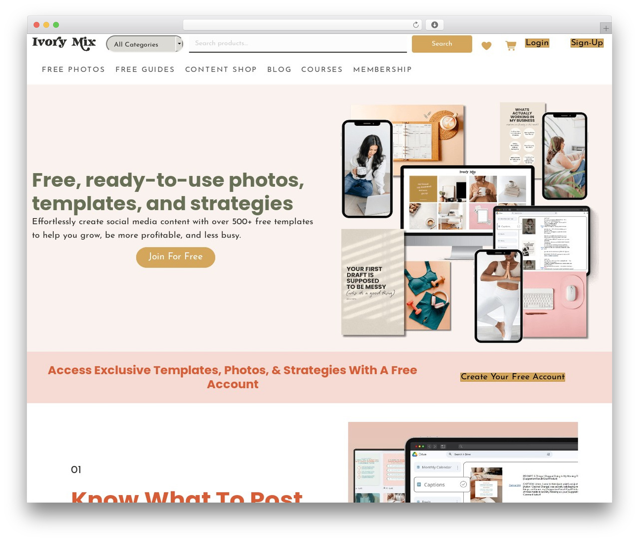 Theme WordPress Beaver Builder Theme - ivorymix.com Theme WordPress Beaver Builder Theme - ivorymix.com