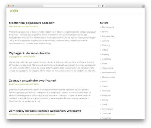 Traversify Lite WordPress theme - blojfa.com
